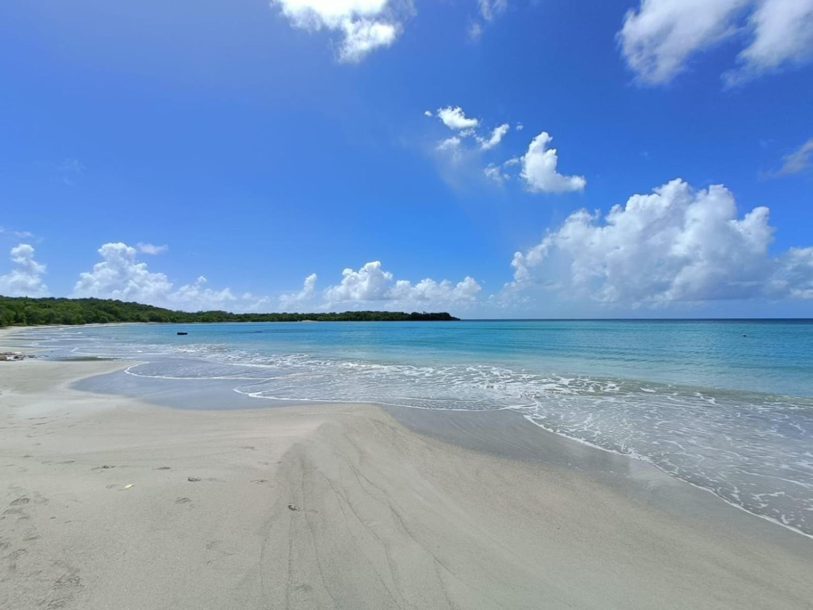 Le Madja'Kaz - Studio En Residence Et Bord De Mer - Sainte Luce Martinique Экстерьер фото