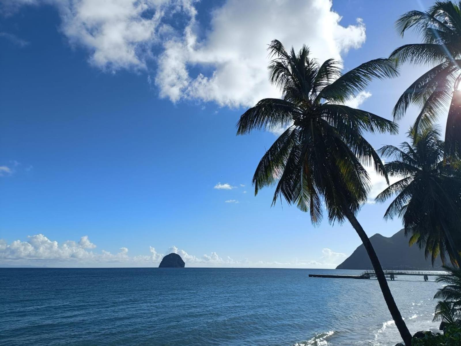 Le Madja'Kaz - Studio En Residence Et Bord De Mer - Sainte Luce Martinique Экстерьер фото